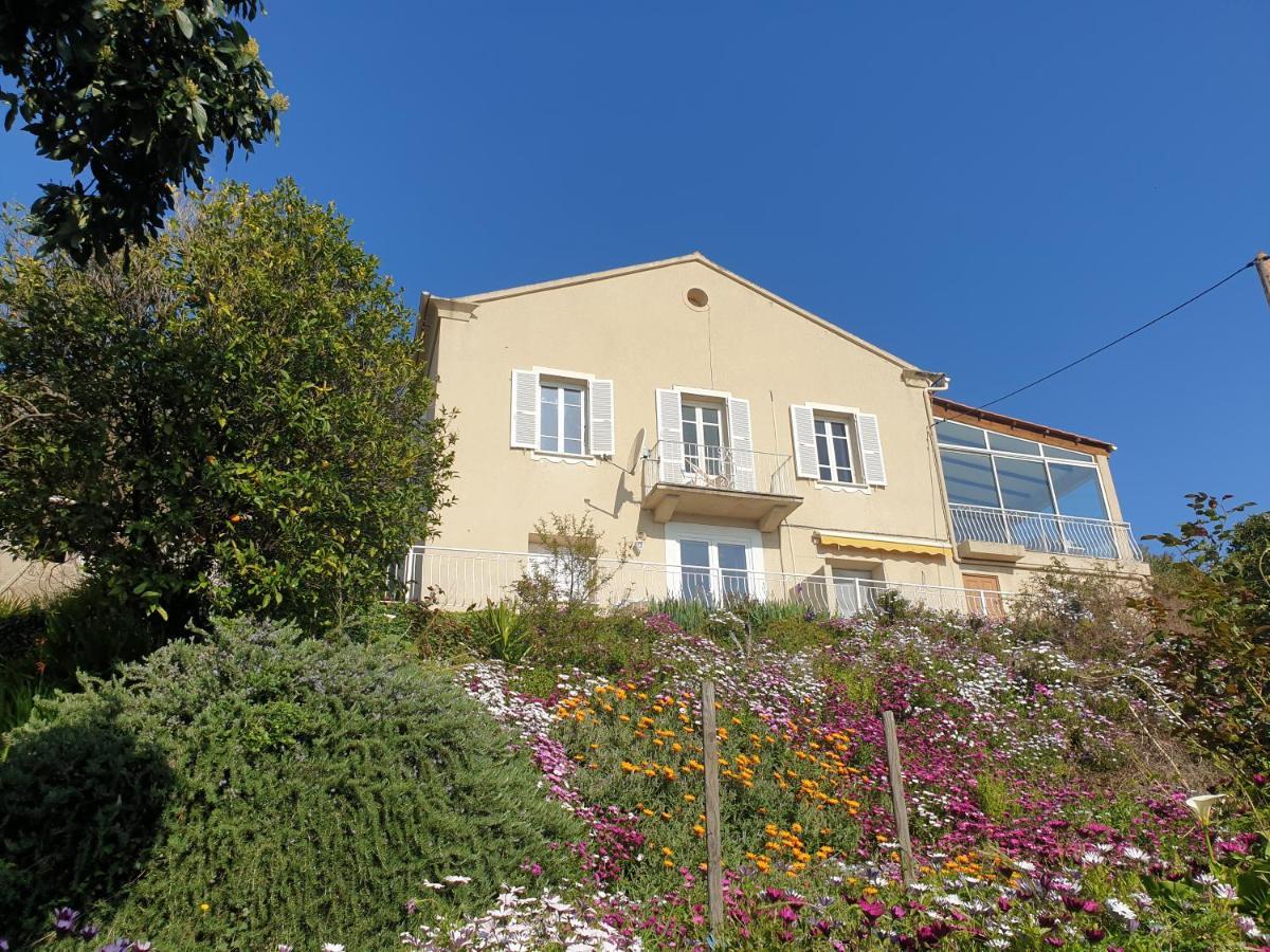 Appartement A Caserella Entierement Renove Avec Terrasse Et Vue Panoramique Sur Mer Valle-di-Campoloro Exteriör bild